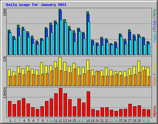 Daily usage for January 2021