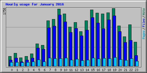 Hourly usage for January 2016