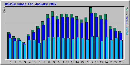 Hourly usage for January 2017
