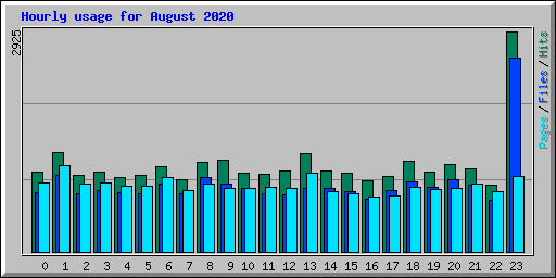 Hourly usage for August 2020