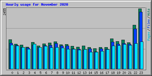 Hourly usage for November 2020