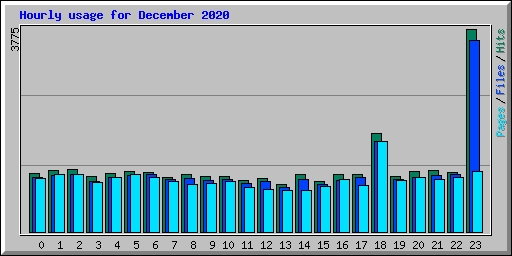 Hourly usage for December 2020