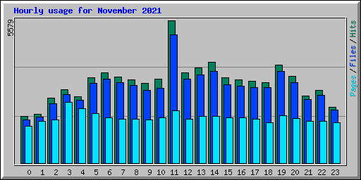 Hourly usage for November 2021