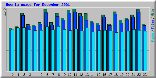 Hourly usage for December 2021