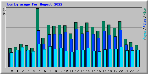 Hourly usage for August 2022