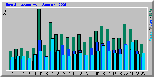 Hourly usage for January 2023