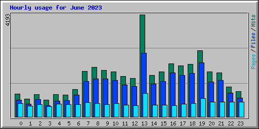Hourly usage for June 2023
