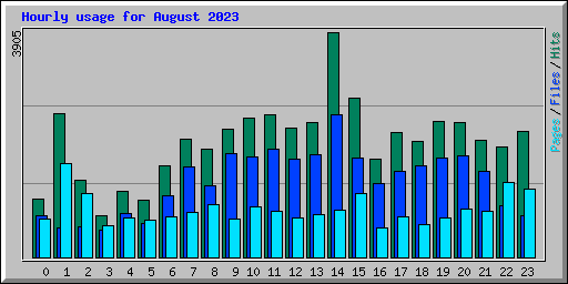 Hourly usage for August 2023